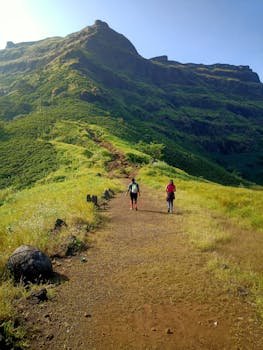 Hikers explore the lush green hills of Maharashtra, India, under a clear blue sky.